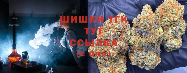 гидропоника Кулебаки