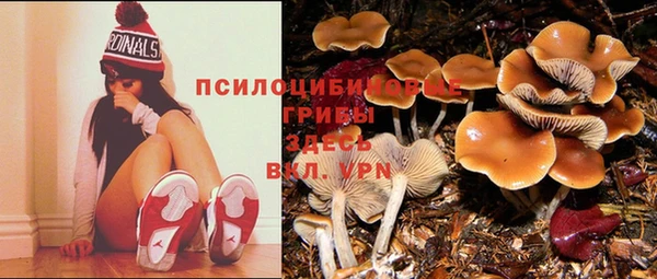 spice Куйбышев