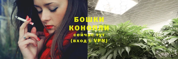 spice Куйбышев