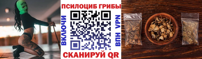 Галлюциногенные грибы прущие грибы  Болохово 