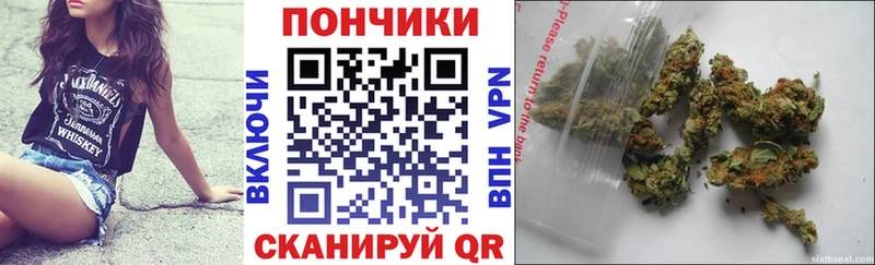 Бошки марихуана гибрид  Болохово 